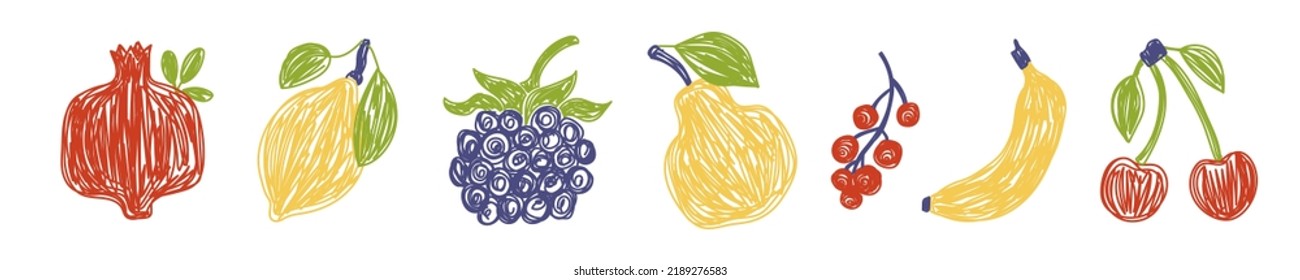 Fruit and berry bundle. Pomegranate, lemon and blackberry. Pear, currant, banana and cherry. Color illustration collection. Vector set. Pen or marker doodle drawing