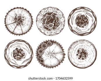Fruit and berry desserts collection. Hand drawn baking cakes and pies. Homemade fruit dessert recipe drawing. Sweet bakery set. Top view cakes for food delivery, homemade recipe, cafe menu design.