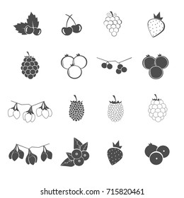 Fruit of berry icons set vector