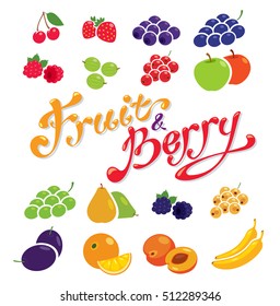 Fruit and Berry pack flat icon vector illustration.