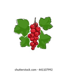 Fruit Berry Red Currant Isolated on White Background, Vector Illustration 