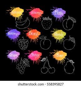 Fruit and berry set illustration isolated on a chalk board hand draw doodle style.Summer fruit icon 