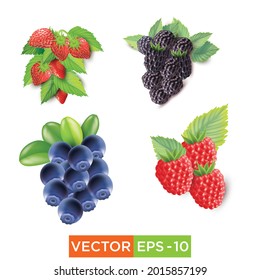 Fruit Berry vector eps10 archivo para cualquier uso