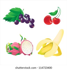 Fruit and berry. vector illustration