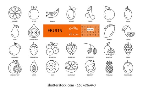 Fruit and berry. Vector thin icons with editable stroke. Sweet fruits of apple, orange, apricot, peach, kiwi, papaya, strawberry, grape, mango, persimmon mandarin and others. Flat illustration.