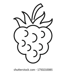 Icono de mora negra de frutas. Icono de vector de arándano de contorno para diseño web aislado en fondo blanco