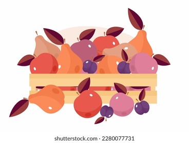 Fruit box. Apple, pear, plum. Harvest. Vector illustration