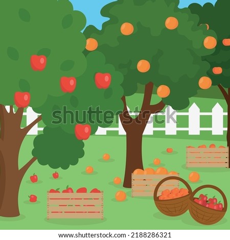 fruit boxes and baskets in the garden