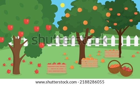 fruit boxes in the garden