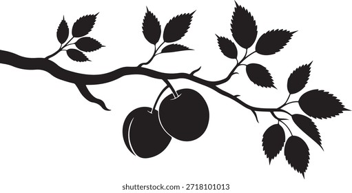 Ramo de fruto com folhas silhueta vetor árvore de ameixa ilustração para decoração
