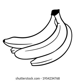 The fruit. A bunch of bananas. Banana. A healthy fruit. Vitamins in food. Line style. Illustrations for design and decoration.