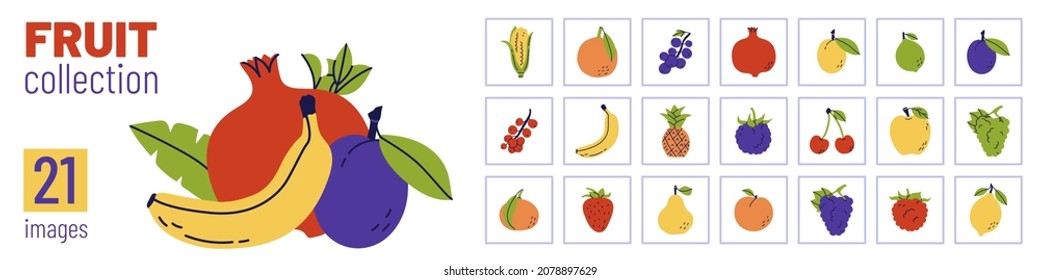 Fruit bundle. Banana, plum and pomegranate. Strawberry, lemon, lime and mandarin. Apple and grapes. Color illustration collection. Vector set