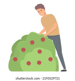 Vector de dibujos animados de iconos del arbusto de frutas. Chico de jardín. Parque infantil