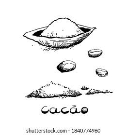 El fruto del cacao y los frijoles. Imagen en blanco y negro al estilo de los gráficos dibujados a mano. Ilustración vectorial, boceto.