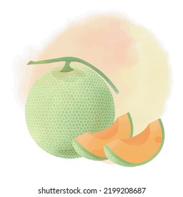 Fruit Cantaloupe In Watercolor Illustration Style