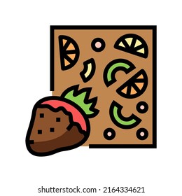 fruit chocolate color icon vector. fruit chocolate sign. isolated symbol illustration
