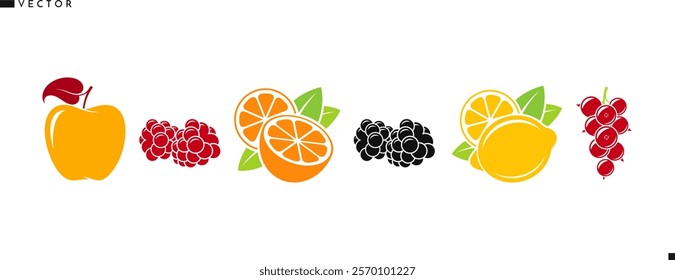 Fruit. Citrus fruit with berries vector. Isolated orange fruit lemon apple raspberry blackberry and currant. Natural food. Organic fruit icon. Vegan food sign. Vector illustration EPS