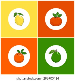 Fruit  Citrus Icon, Round White Fruit Icons on Colorful Background, Lemon and Lime  , Orange and  Mandarin, Vector Illustration