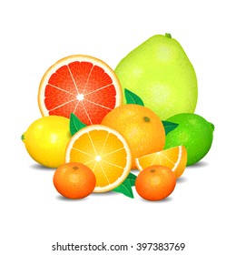 Fruit of citrus, set of citrus fruit. Citrus fruits (orange, lemon, lime, grapefruit, pomelo, mandarin). Realistic vector illustration on white background