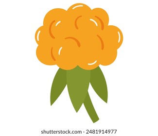 Fruit cloudberry in cartoon hand drawn simple style. Editable variable color