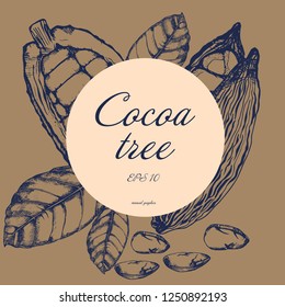  fruit of the cocoa tree ,hand drawing, vector