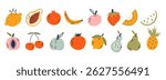 Fruit collection in flat hand drawn style, illustrations set. Tropical fruit and graphic design elements. Ingredients color cliparts. Sketch style smoothie or juice ingredients.