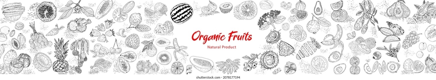 Obstkollektion in flachem, handgezeichnet Stil, Abbildungen Set. Dekorative Kollektion im Retro-Stil handgezeichnet Agrarprodukt für Speisekarte. Vektorgrafik.