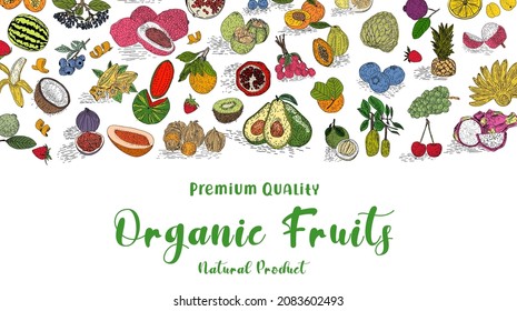 Obstkollektion in flach handgezeichnet Stil, dekorative Retro-Stil Illustrationen Set. Tropische Früchte und grafische Gestaltungselemente. Sketch-Stil, Zutaten Farbe Video-Kunst.