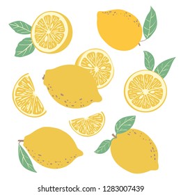 Fruit collection with fresh lemons and slices. Vector illustration