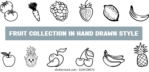 Fruit collection in hand drawn style,Tropical fruit and graphic design elements, hand drawn food line icon vector set.