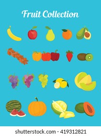 fruit collection images with bright  color vector graphic illustration