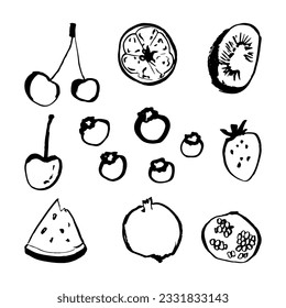 Colección de fruta en ilustraciones de estilo de doodle dibujadas a mano con tinta. Apple, cereza, arándano, fresa, frambuesa, mango. Ingredientes de estilo Fruit Sketch