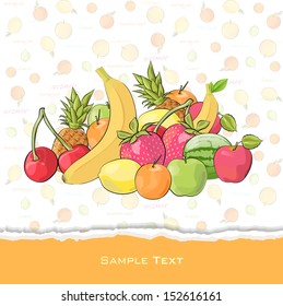 Fruit collection. Isolated vector illustration. 