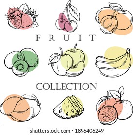 COLECCIÓN DE FRUTAS, FRESA, CERDO, PAZ, KIWI, APPLE, BANANA, MANGO, PINEAPPLE Y TANGARINA. ILUSTRACIÓN DEL VECTOR