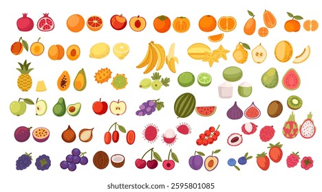 Fruit collection with various types organized by color. Apples, oranges, banana, berries, tropical fruits, and citrus. Tropical and citrus fruits. Healthy foods, vitamin sources. Vector illustration.