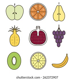 fruit color infographics
