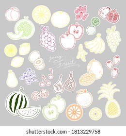 fruit color line illustration vector icon