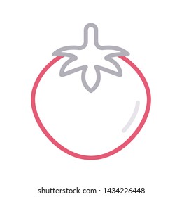 fruit color line vector icon