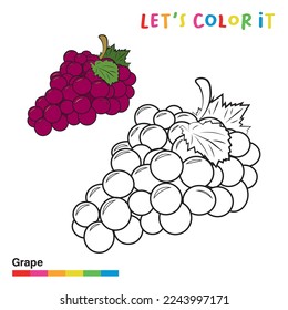 fruit coloroing page: coloring grape for kids design with guidelines