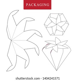 Fruit concept package.Vector Illustration of Box.Package Template. Isolated White Retail Mock up.
