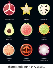 Fruit cross-section vector illustration. Set of glossy tropical fruit icons.