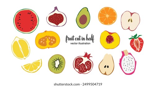 Fruit cut in Hand-drawn style set , cut in half, Drawing of food elements for design menu label packaging . icons vector illustration