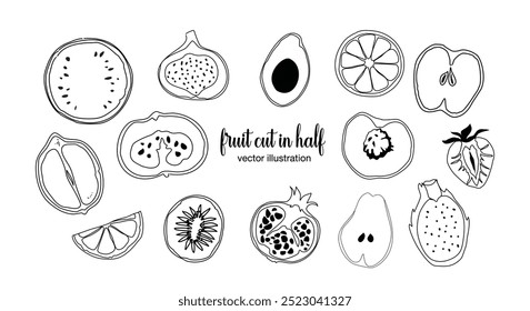 Fruta cortada en conjunto de estilo dibujado a mano, cortado por la mitad, dibujo de Elementos de alimentos para el empaquetado de la etiqueta del menú de diseño. iconos Ilustración vectorial