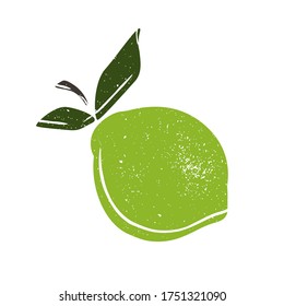 Fruit. Cute green sour lime with leaves. Cartoon sketch, juicy citrus, delicious. Great for postcards, stickers, fabric and textile. White isolated background, vector illustration, print.