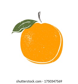 Fruit. Cute sour orange with green leaflets. Cartoon sketch, juicy citrus, delicious. Great for postcards, stickers, fabric and textile. White isolated background, vector illustration, print.