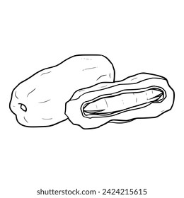 Fruchtdaten Illustration Umriss isolierter Vektor
