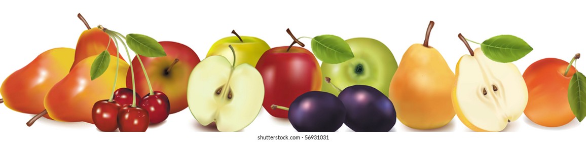 Obstdesign-Rand einzeln auf Weiß. Vektorgrafik.