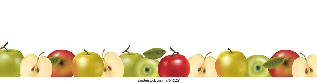 Fruit design border isolated on white. Vector.