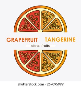 Fruit design over white background, vector illustration