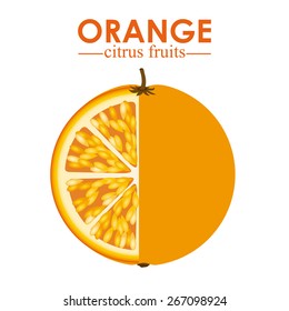 Fruit design over white background, vector illustration